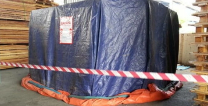 The-brown-marmorated-stink-bug-DEUFOL-006