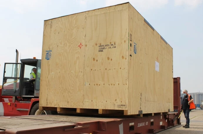 The-brown-marmorated-stink-bug-DEUFOL-007